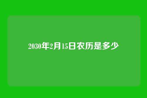 2030年2月15日农历是多少