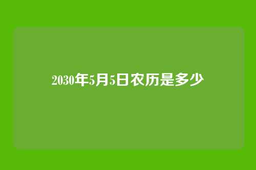 2030年5月5日农历是多少