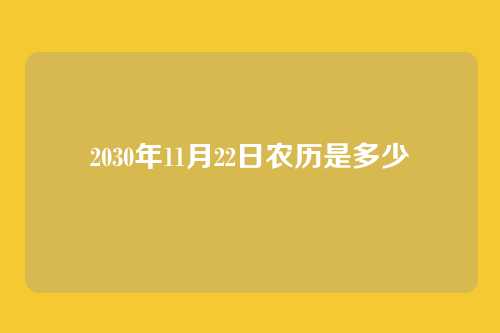 2030年11月22日农历是多少