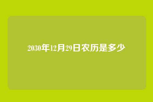 2030年12月29日农历是多少