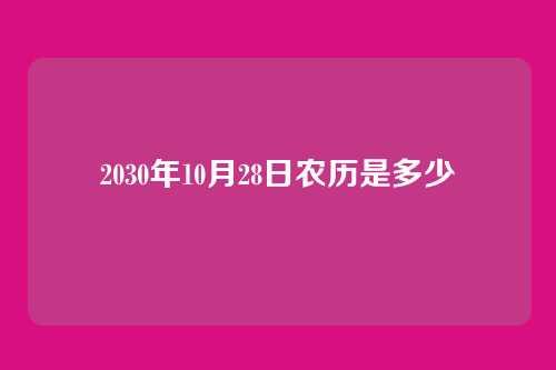2030年10月28日农历是多少