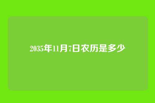 2035年11月7日农历是多少