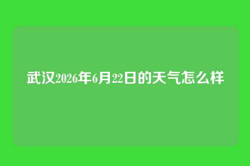 武汉2026年6月22日的天气怎么样