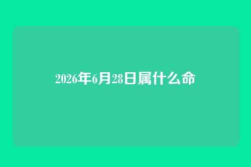 2026年6月28日属什么命