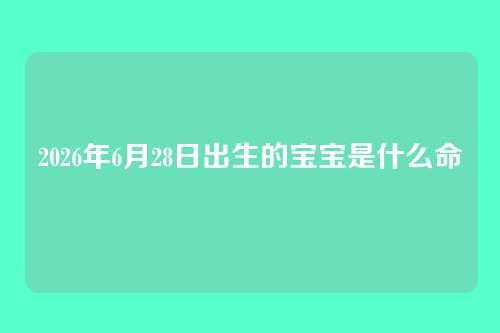 2026年6月28日出生的宝宝是什么命