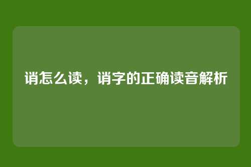 诮怎么读，诮字的正确读音解析