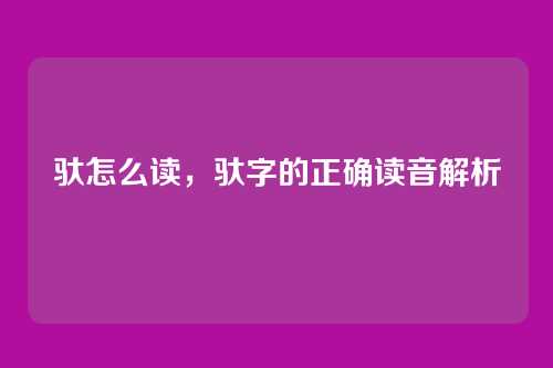 驮怎么读,驮字的正确读音解析