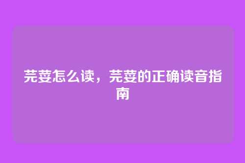 芫荽怎么读,芫荽的正确读音指南