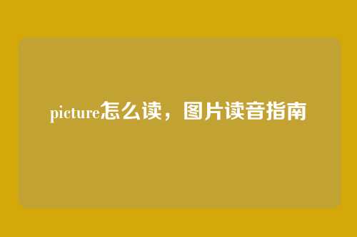 picture怎么读,图片读音指南
