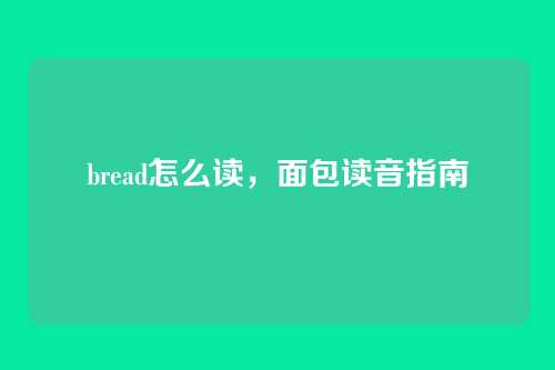 bread怎么读，面包读音指南