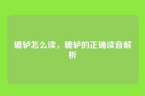 辘轳怎么读，辘轳的正确读音解析