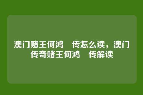 澳门赌王何鸿燊传怎么读，澳门传奇赌王何鸿燊传解读