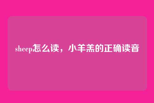 sheep怎么读,小羊羔的正确读音