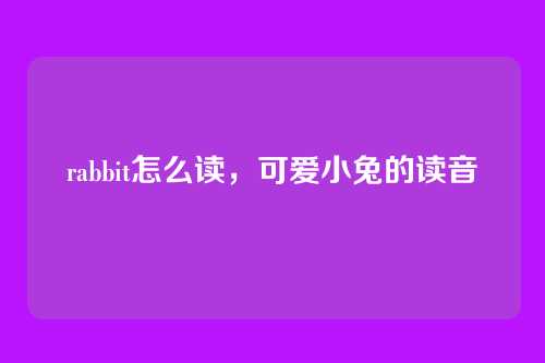 rabbit怎么读,可爱小兔的读音