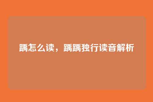 踽怎么读,踽踽独行读音解析