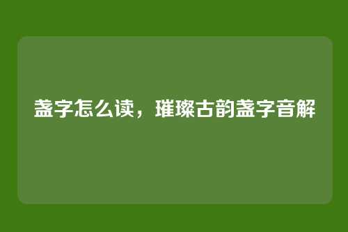 盏字怎么读,璀璨古韵盏字音解