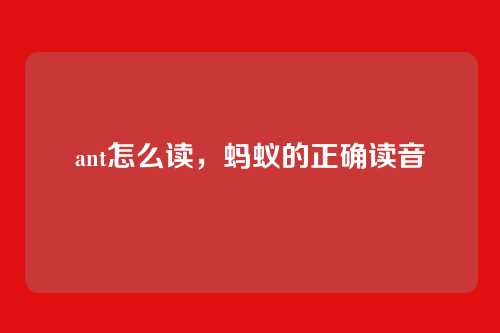 ant怎么读，蚂蚁的正确读音