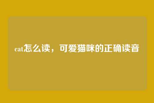 cat怎么读,可爱猫咪的正确读音