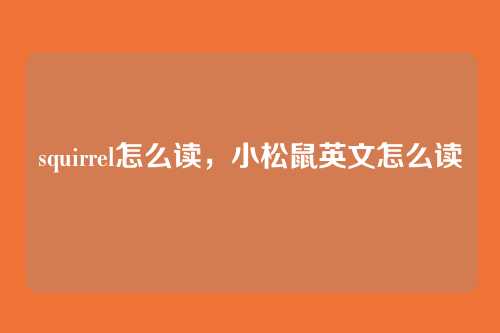 squirrel怎么读,小松鼠英文怎么读