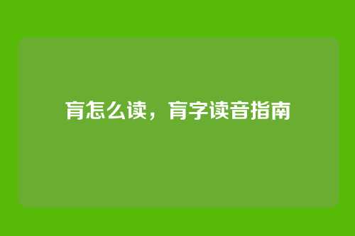 肓怎么读,肓字读音指南