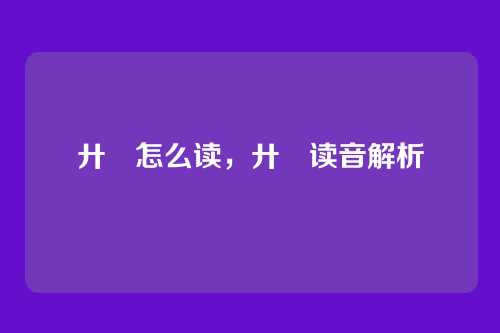 廾匸怎么读,廾匸读音解析