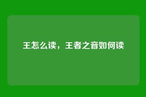 王怎么读,王者之音如何读