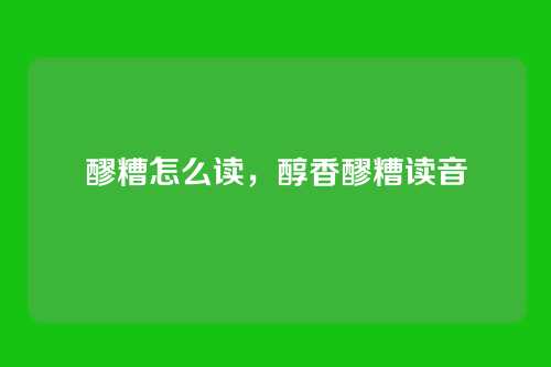 醪糟怎么读,醇香醪糟读音