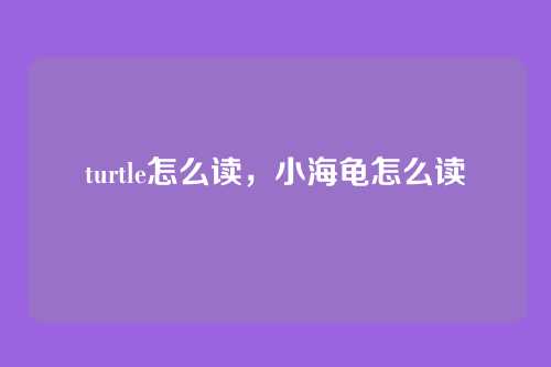 turtle怎么读,小海龟怎么读