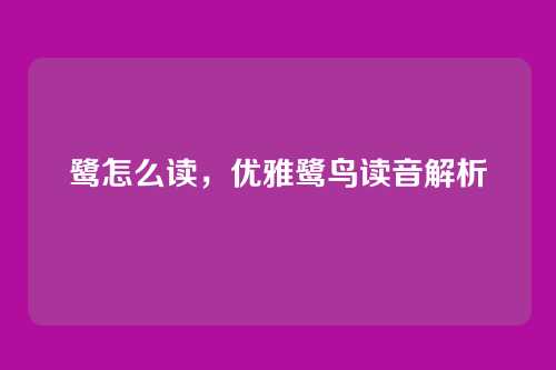 鹭怎么读,优雅鹭鸟读音解析