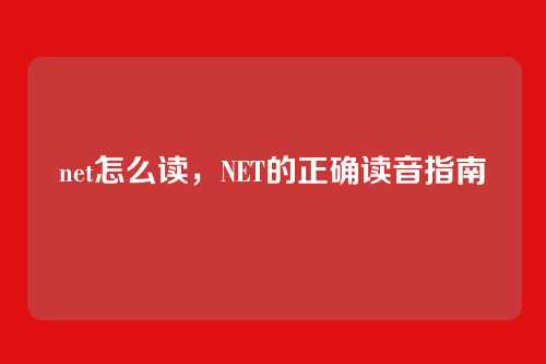 net怎么读，NET的正确读音指南