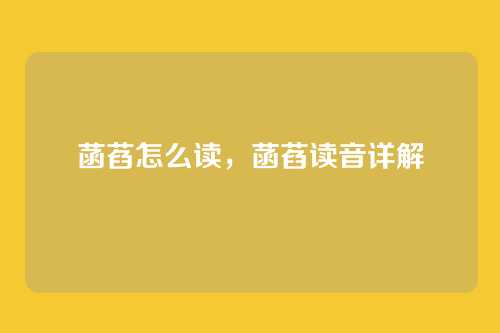 菡萏怎么读,菡萏读音详解