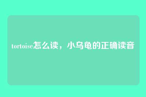 tortoise怎么读,小乌龟的正确读音