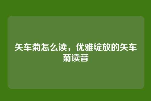 矢车菊怎么读,优雅绽放的矢车菊读音