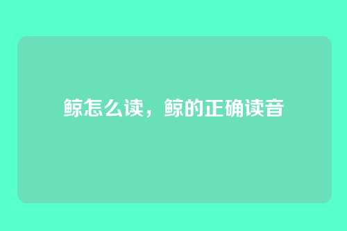 鲸怎么读,鲸的正确读音