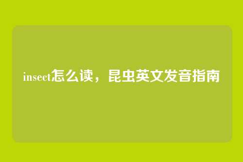 insect怎么读,昆虫英文发音指南