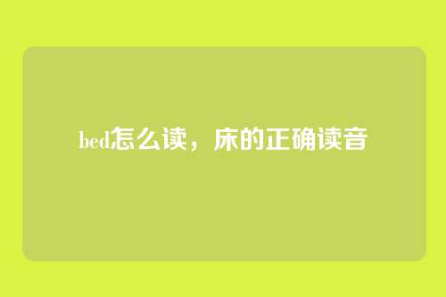 bed怎么读,床的正确读音