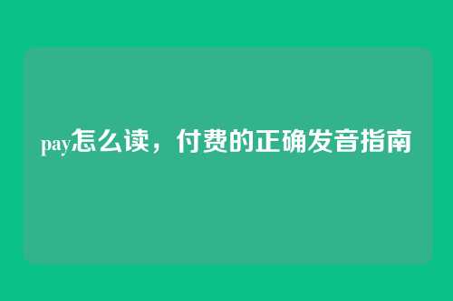 pay怎么读,付费的正确发音指南