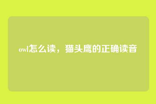 owl怎么读，猫头鹰的正确读音