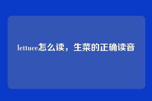 lettuce怎么读,生菜的正确读音