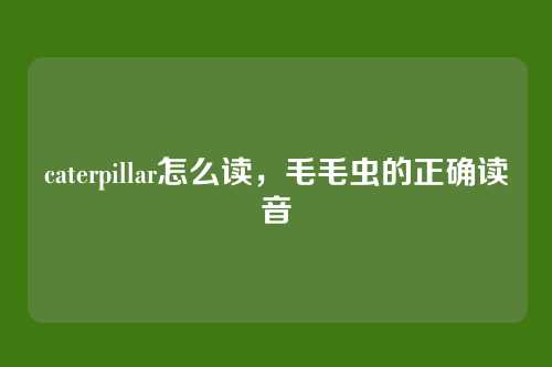 caterpillar怎么读,毛毛虫的正确读音