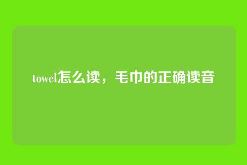 towel怎么读,毛巾的正确读音