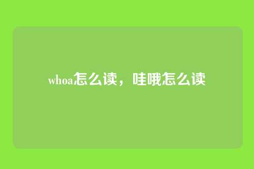 whoa怎么读,哇哦怎么读