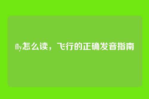 fly怎么读,飞行的正确发音指南