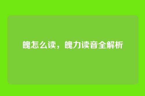 魄怎么读,魄力读音全解析
