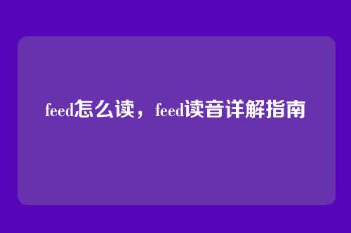 feed怎么读，feed读音详解指南