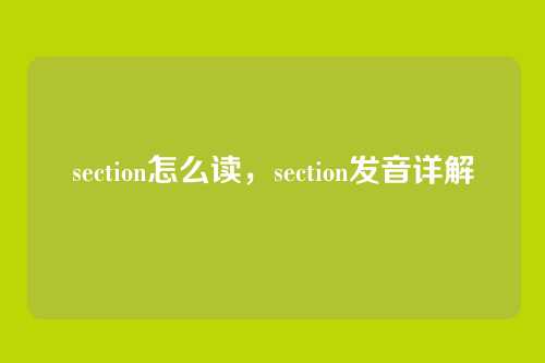 section怎么读，section发音详解